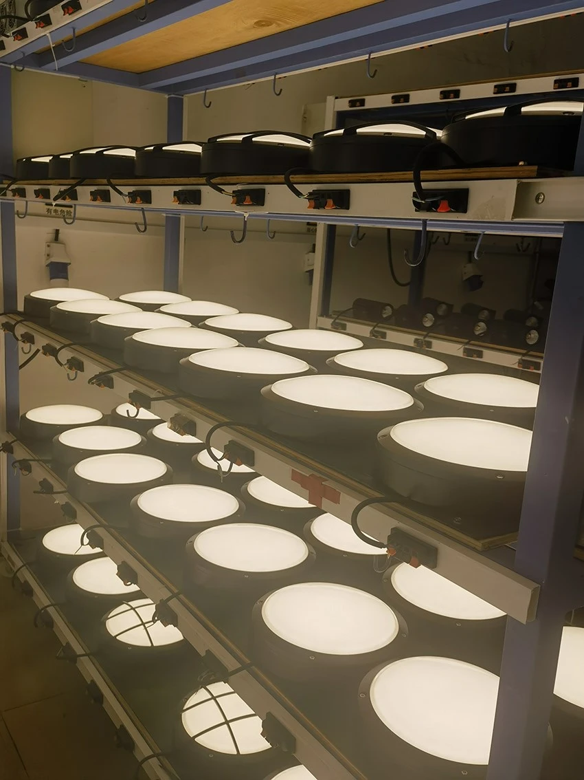 30w led bulkhead